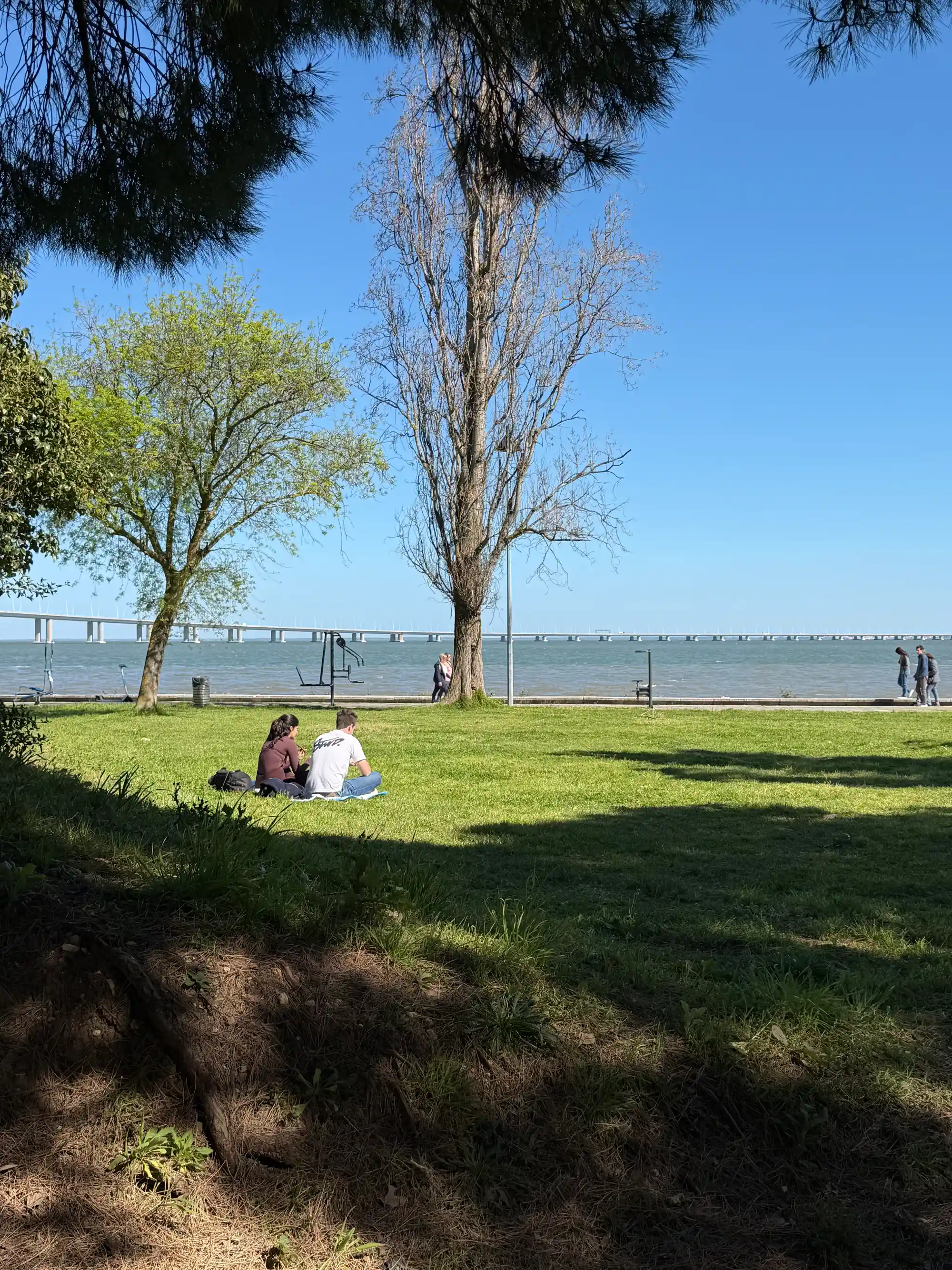 Pessoas relaxando na grama junto ao Rio Tejo, no Parque das Nações, em Lisboa, com a Ponte Vasco da Gama visível ao fundo, num dia ensolarado.