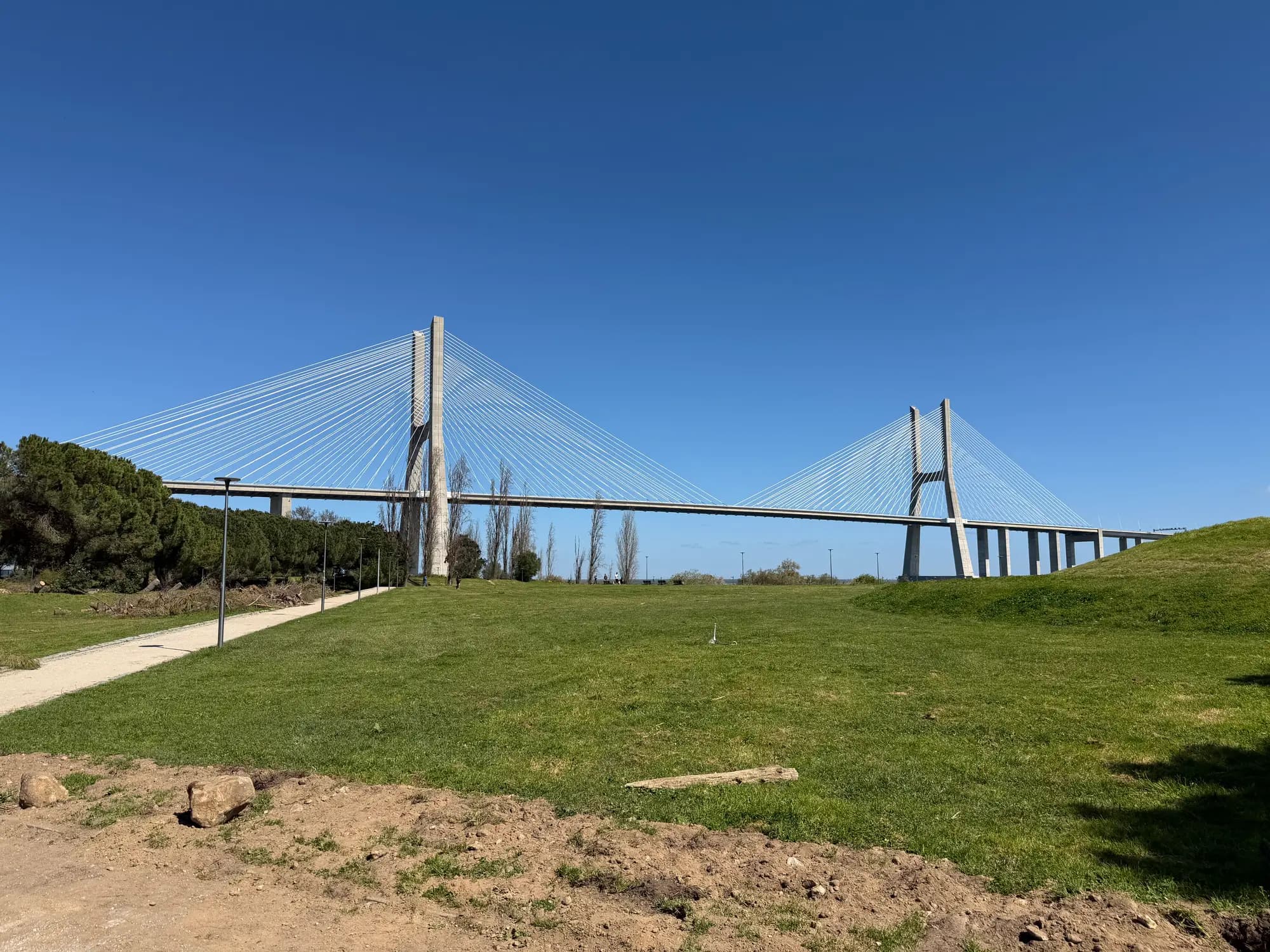 Uma ponte estaiada sobre um parque verde sob um céu azul límpido.